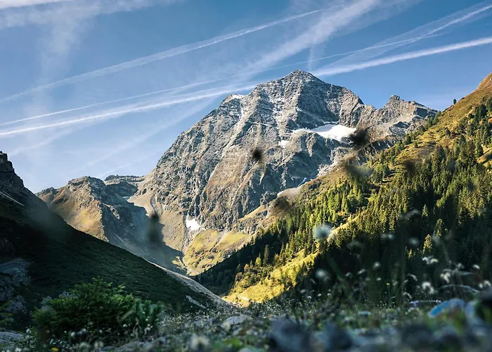 Siebenschlaefer Apartment *